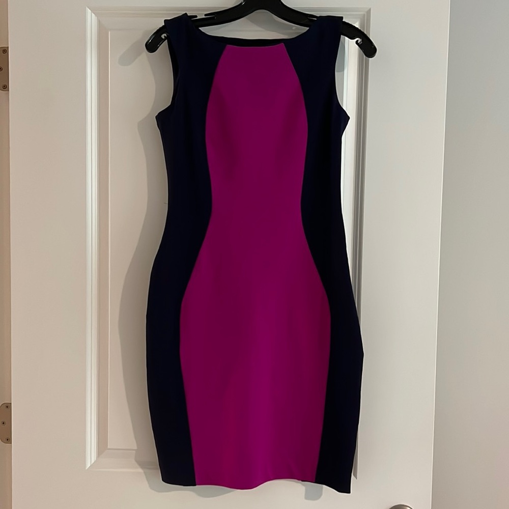 Cynthia Rowley Navy and Fuschia Bodycon Dress